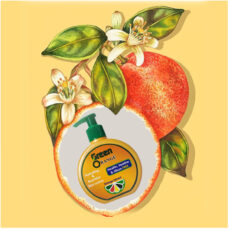 لوسیون آبرسان گرین اورنج مدل پرتقال مناسب برای انواع پوست حجم 215 میلی لیتر مجموعه 2 عددی