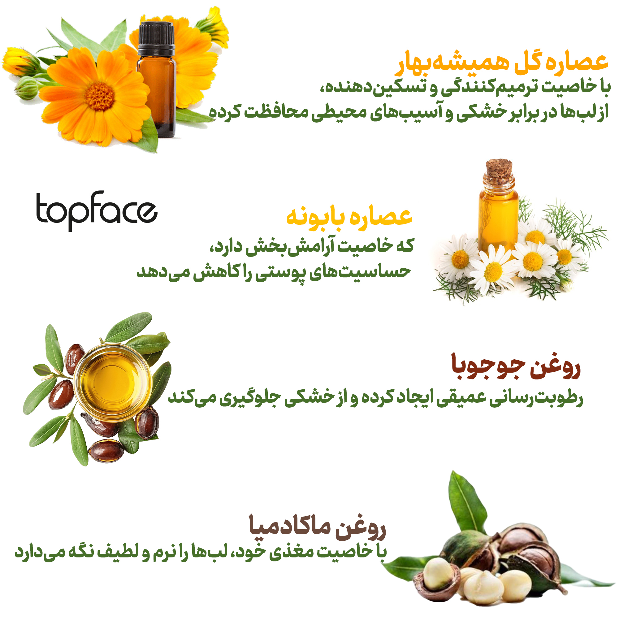 برق لب مایع تاپ فیس مدل Focus Point Perfect Gleam شماره 102