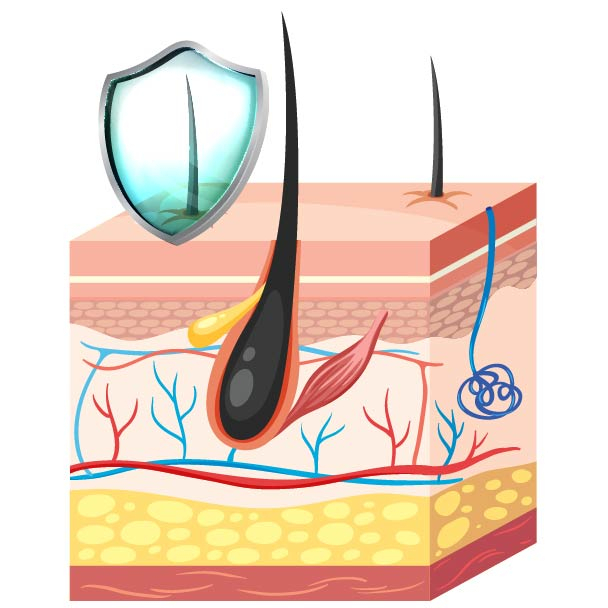 سرم دوفاز مو اولدشیپ مدل Heat Protect حجم 400 میلی لیتر