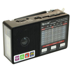 اسپیکر بلوتوثی قابل حمل گولون مدل RX-8866BT