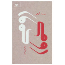 کتاب رومی جلال الدین محمد اثر بهمن شکوهی نشر نگاه