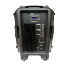 بلندگو اکتیو امیننس مدل 12T