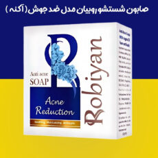 صابون شستشو روبیان مدل ضدجوش وزن 100 گرم مجموعه 12 عددی