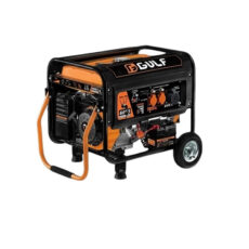 موتور برق گازسوز 19 اسب بخار گالف مدل 6083