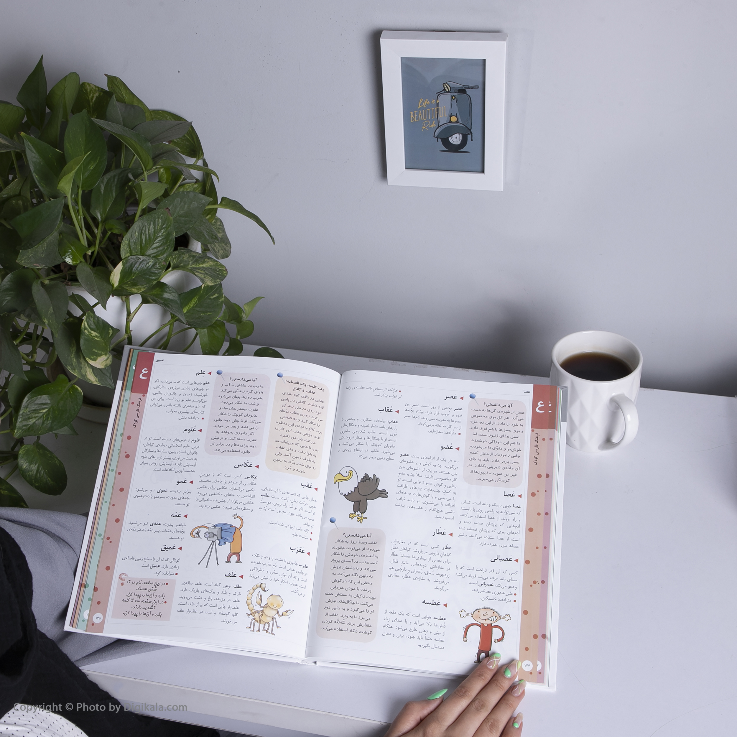 کتاب فرهنگ فارسی کودک اثر مهناز عسگری نشر محراب قلم