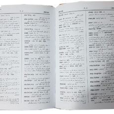 کتاب فرهنگ دو سویه همراه پیشرو آریان پور اثر منوچهر آریان پور کاشانی انتشارات جهان رایانه