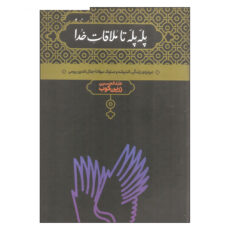 کتاب پله پله تا ملاقات خدا اثر عبدالحسین زرین کوب نشر علمی