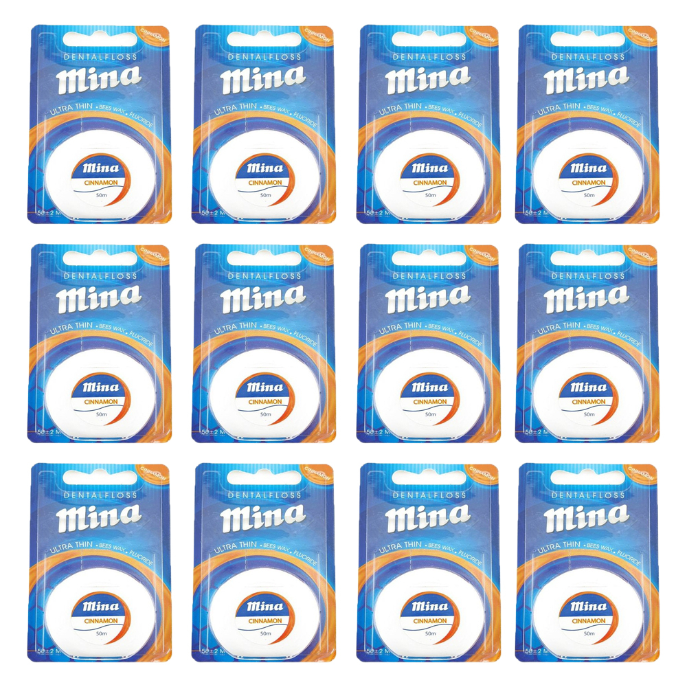 نخ دندان مینا مدل دارچین بسته 12 عددی