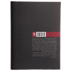 کتاب ما چگونه ما شدیم اثر صادق زیباکلام