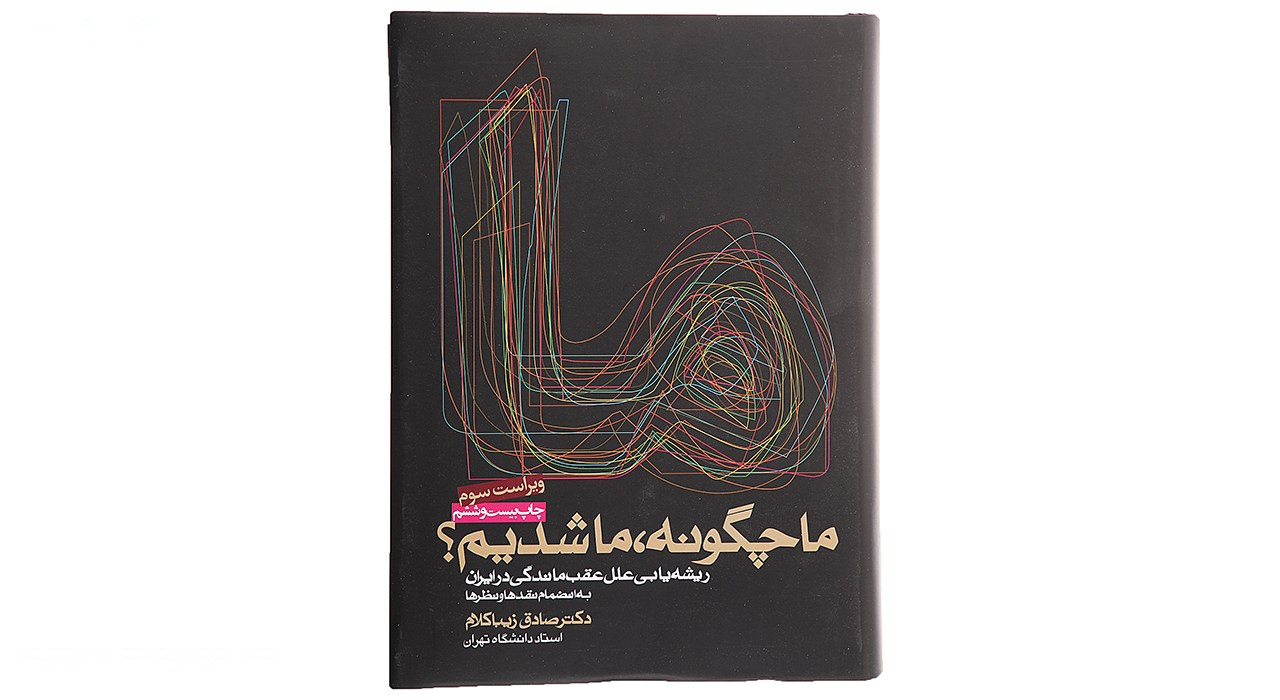 کتاب ما چگونه ما شدیم اثر صادق زیباکلام
