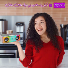 اسپیکر بلوتوثی قابل حمل مدل ZQS2213