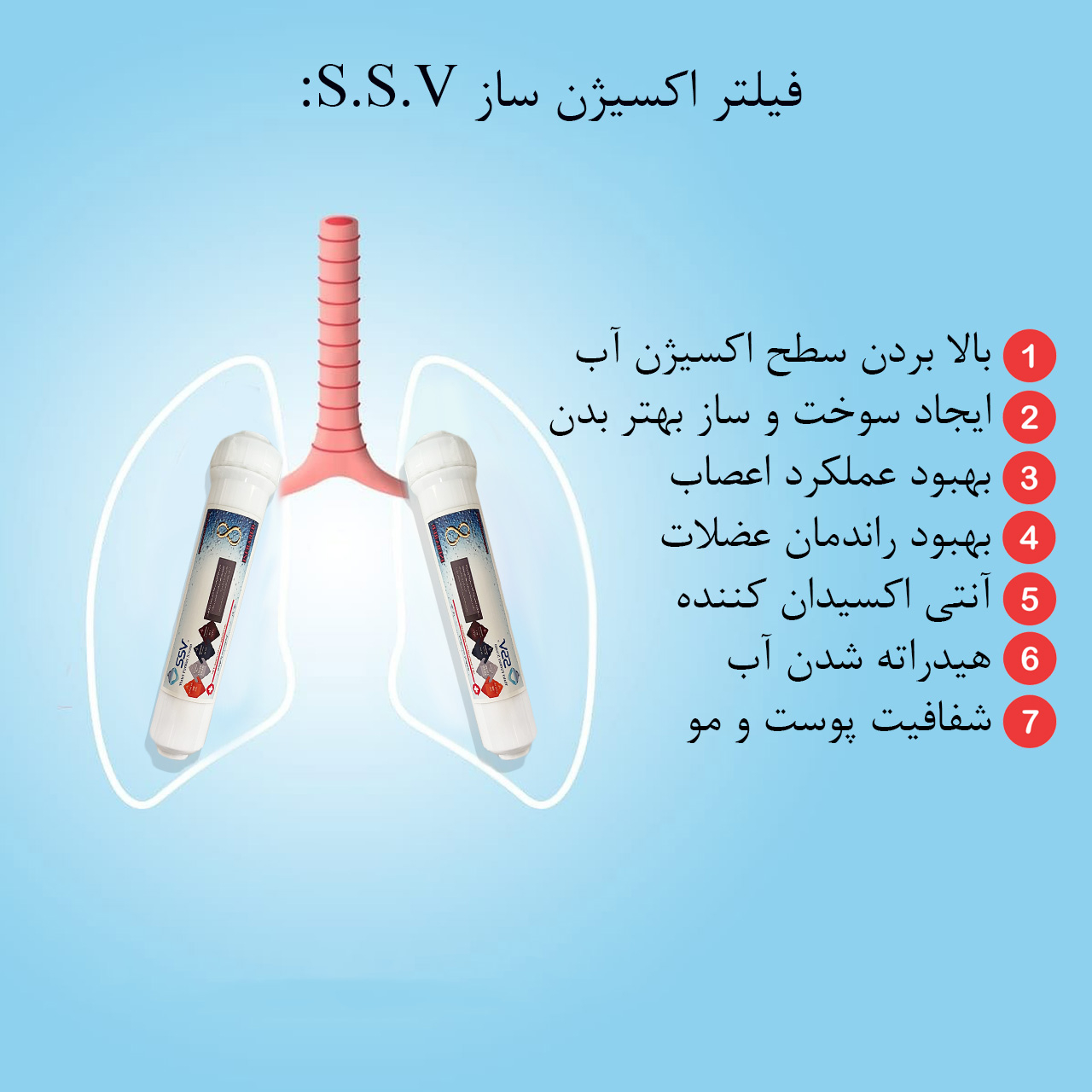 دستگاه تصفیه کننده آب اس اس وی مدل MaxGold N 2W X1055 +3F به همراه شیر دوکاره و فیلتر