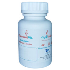 قرص ماماویت نانو حیات دارو بسته 60 عددی