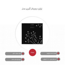 ترازو دیجیتال کٌمری مدل F14