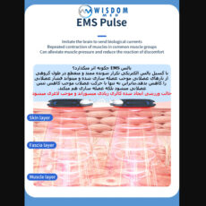 کمربند لاغری ویزدام مد مدل EMS