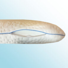 بالش طبی آکسون مدل optimum