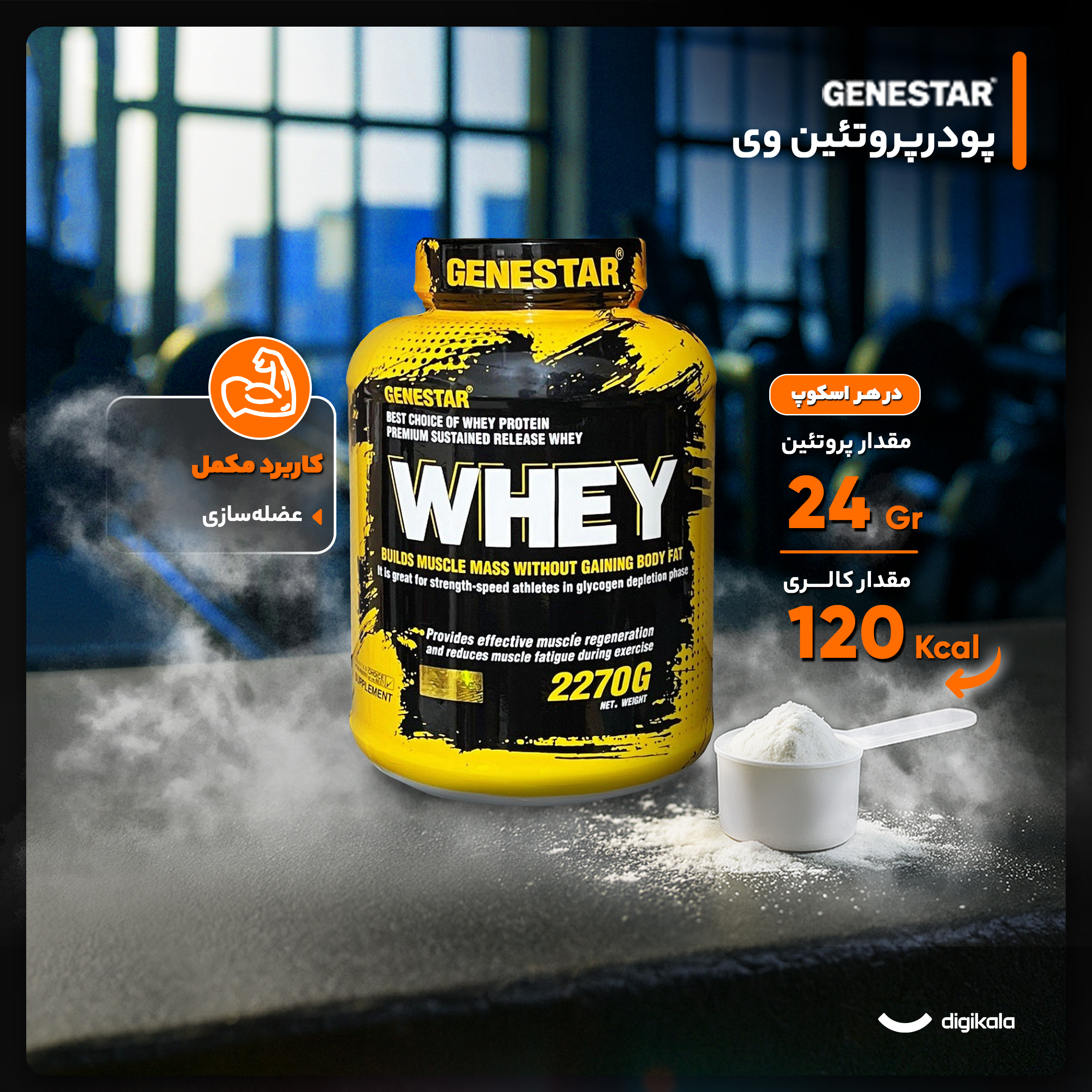 پروتئین وی با طعم شیر شکلات ژن استار - 2270 گرم