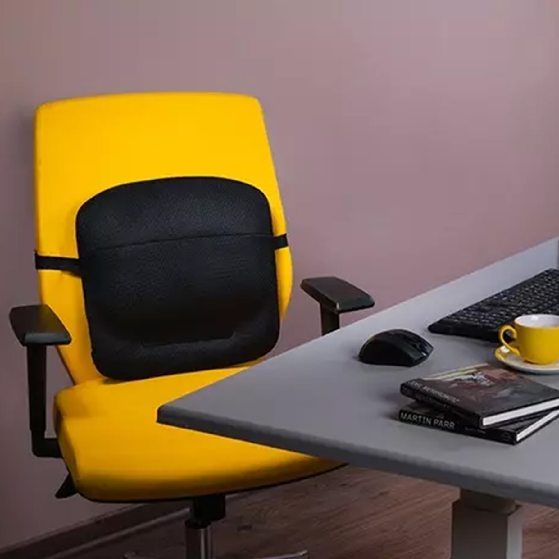 پشتی کمری طبی باراد مدل LS1