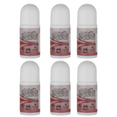 رول ضد تعریق جنتالین مدل 212SYX حجم 70 میلی لیتر بسته 6 عددی