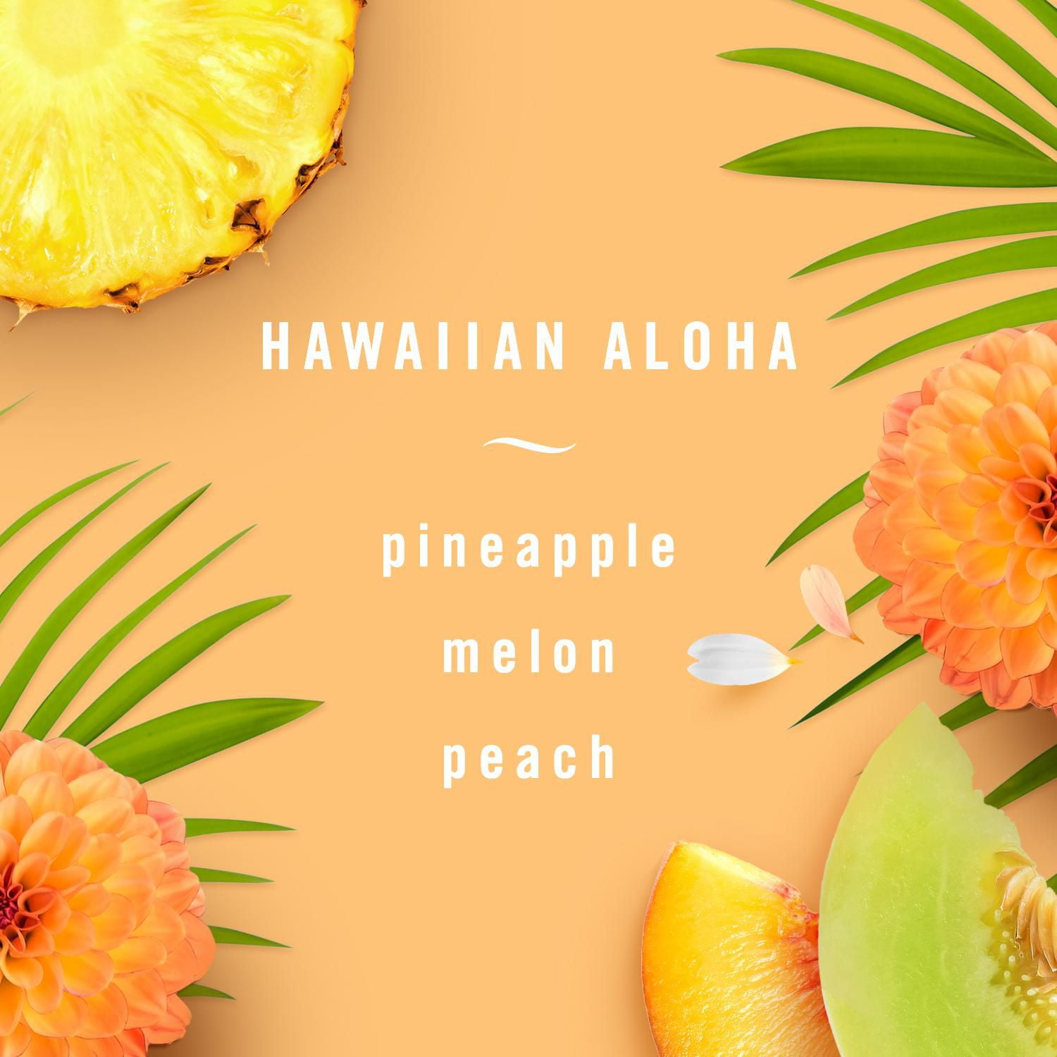 خوشبوکننده هوا فبرز مدل Hawaiian aloha کد 933199 حجم 7.5 میلی لیتر بسته 2 عددی