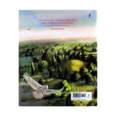 کتاب Harry Potter and the Chamber of Secrets اثر J.K. Rowling انتشارات جنگل