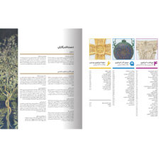 کتاب دایرهالمعارف مصور تاریخ روم اثر استفان فارو و کریستین استرویان نشر سایان