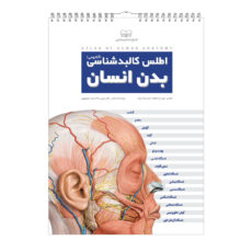 کتاب اطلس کالبدشناسی بدن انسان اثر حمیدرضا بیات انتشارات اندیشه کهن