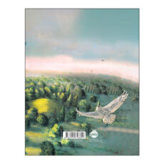 کتاب هری پاتر و تالار اسرار اثر جی. کی. رولینگ ترجمه آرزو مقدس انتشارات پرتقال