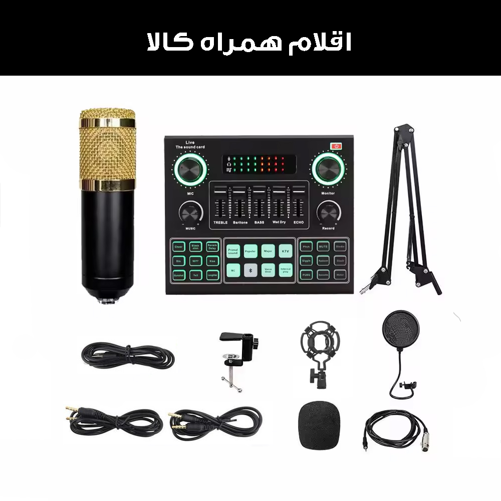 میکروفون استودیویی مدل BM800-V9 به همراه کارت صدا