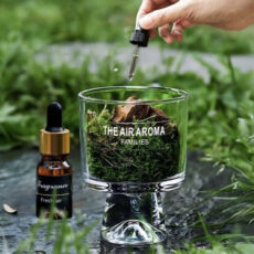 خوشبو کننده مدل خزه رایحه گلی جنگلی حجم ۱۰ میلی لیتر