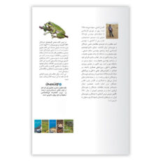 کتاب خزندگان و دوزیستان ایران اثر کامران کمالی انتشارات ایرانشناسی