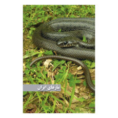 کتاب مارهای ایران اثر مهدی رجبی زاده انتشارات ایرانشناسی