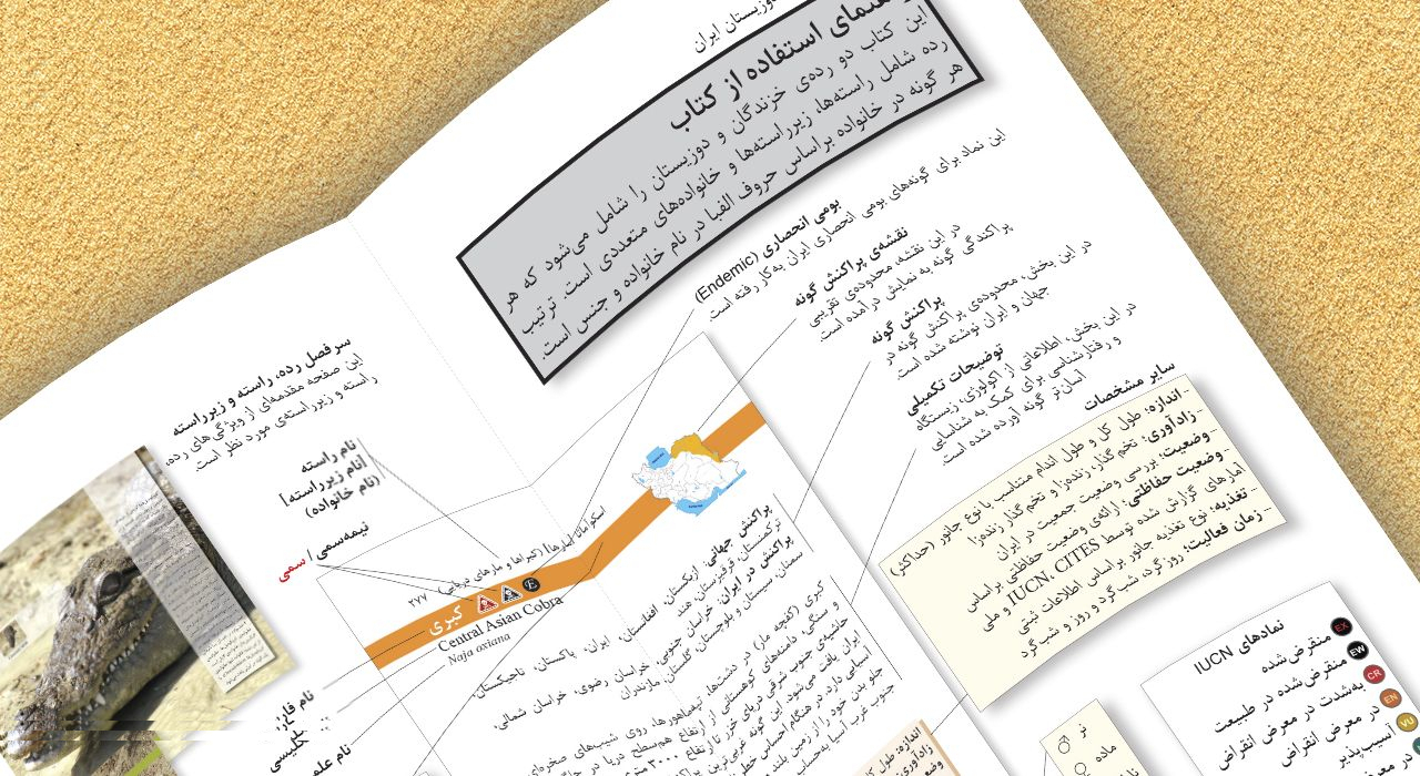 کتاب خزندگان و دوزیستان ایران اثر کامران کمالی انتشارات ایرانشناسی