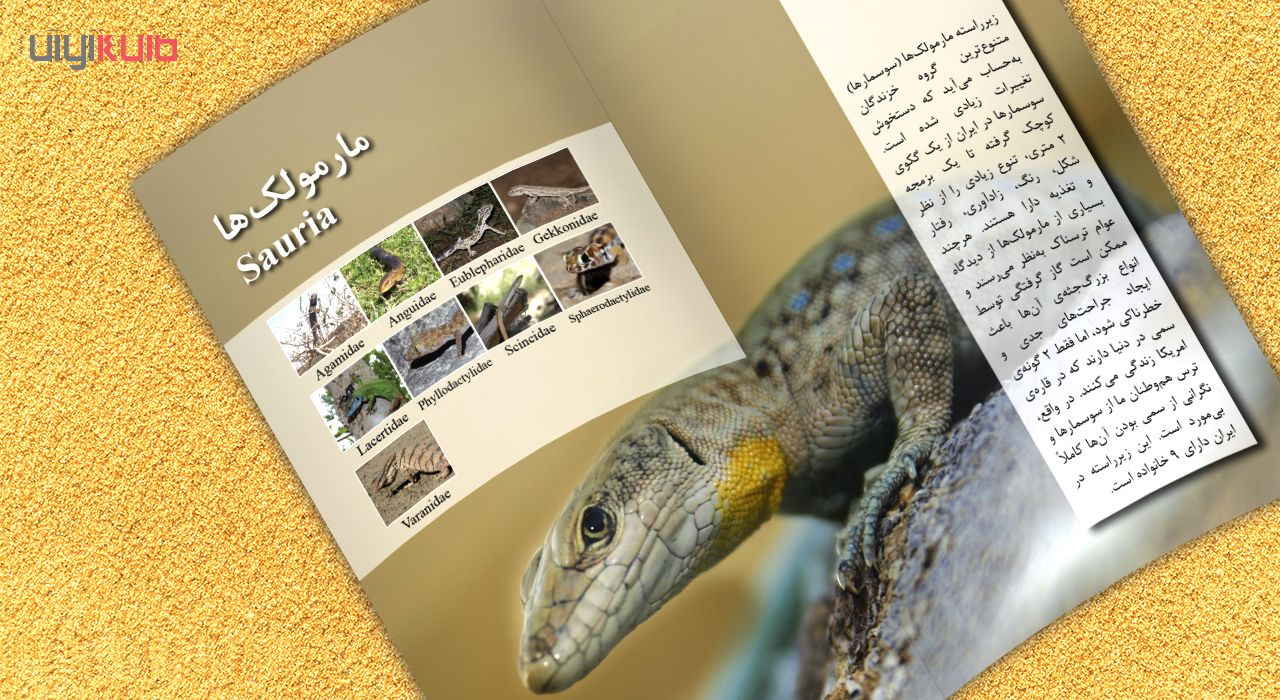 کتاب خزندگان و دوزیستان ایران اثر کامران کمالی انتشارات ایرانشناسی
