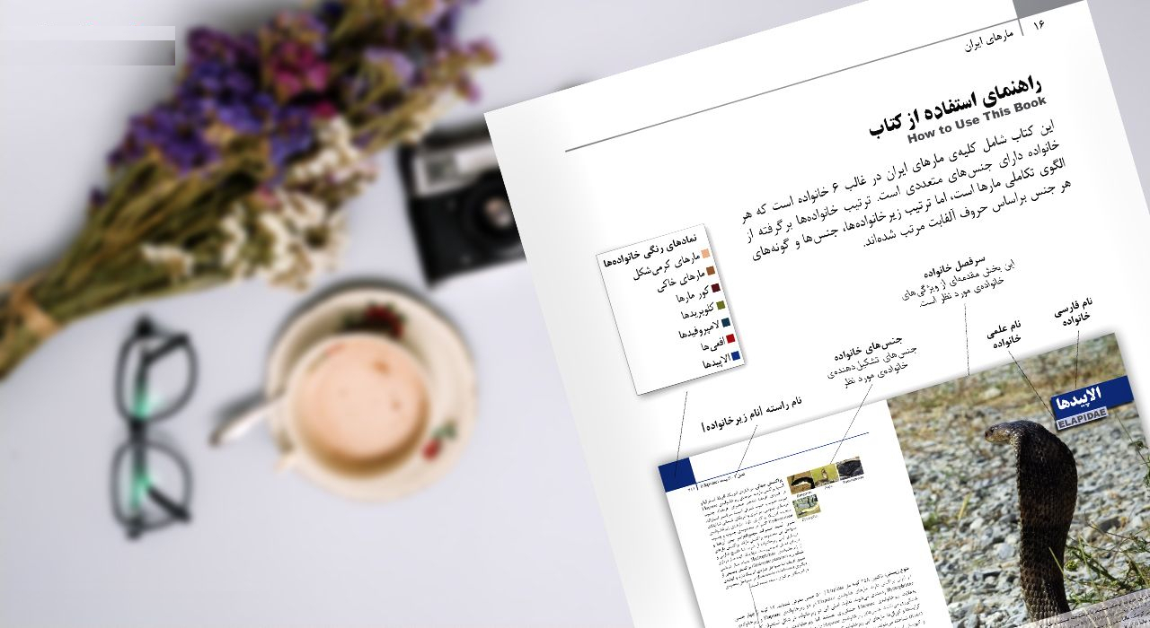 کتاب مارهای ایران اثر مهدی رجبی زاده انتشارات ایرانشناسی