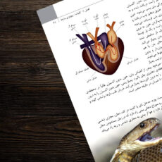 کتاب مارهای ایران اثر مهدی رجبی زاده انتشارات ایرانشناسی