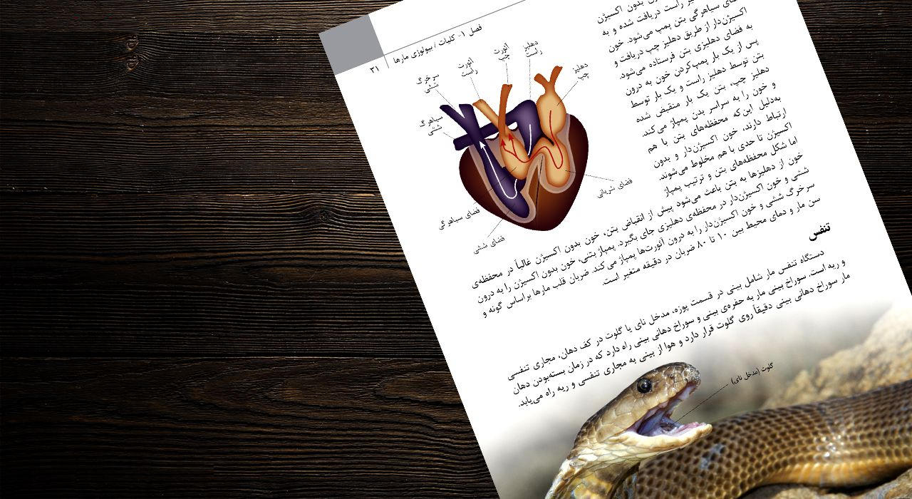 کتاب مارهای ایران اثر مهدی رجبی زاده انتشارات ایرانشناسی