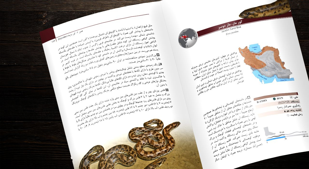 کتاب مارهای ایران اثر مهدی رجبی زاده انتشارات ایرانشناسی
