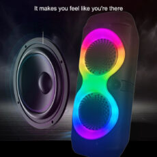 اسپیکر بلوتوثی قابل حمل مدل GREaTnicE