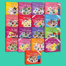 فلش کارت های علمی آموزشی و تصویری( دوزبانه) 2 تا 10 سال انتشارات امین آذر بسته 17 عددی