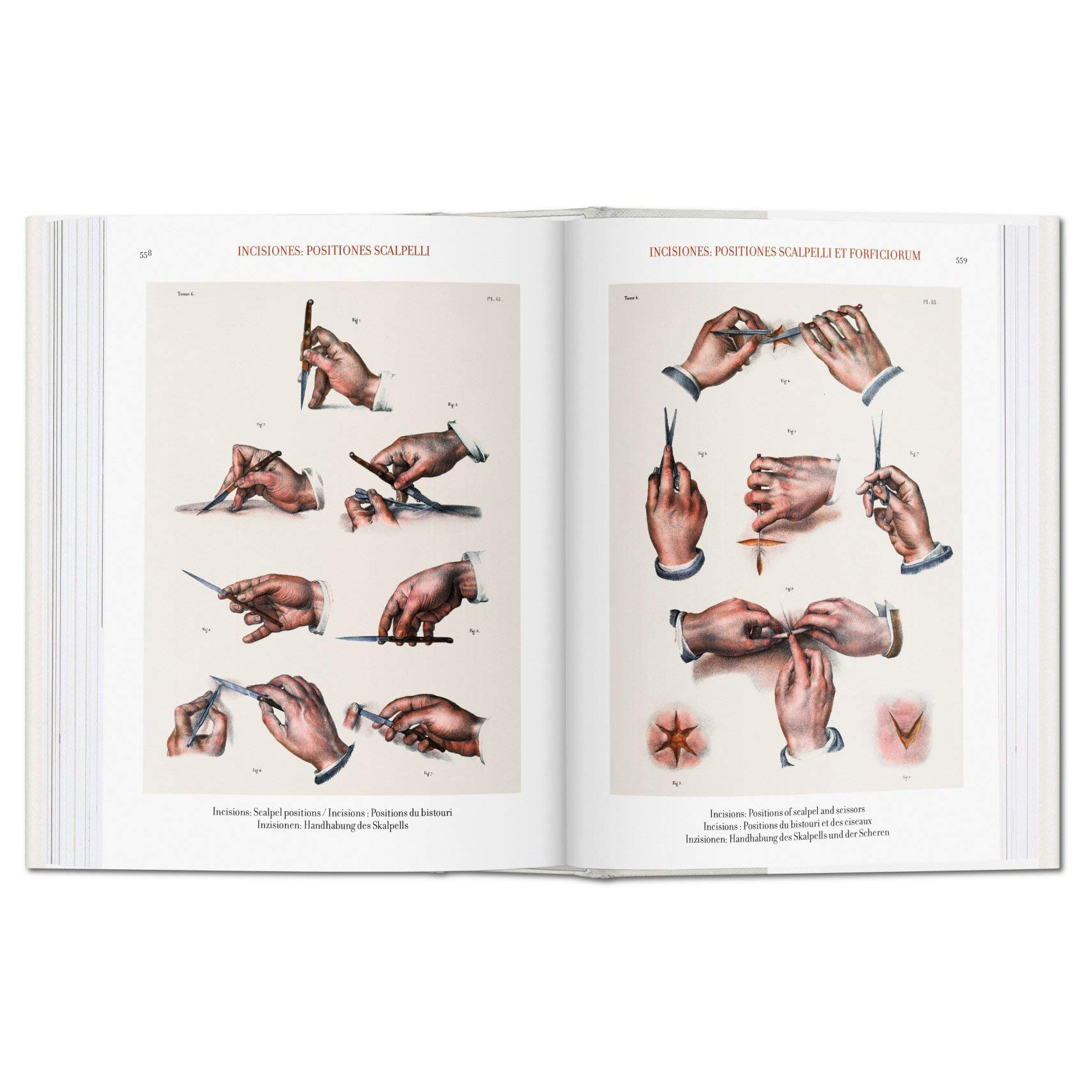 کتاب Bourgery. Atlas of Human Anatomy and Surgery اثر Jean-Marie Le Minor
انتشارات تاشن