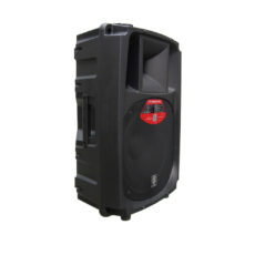 بلندگو پسيو زيكو 15 اينچ مدل ZICO W-17P