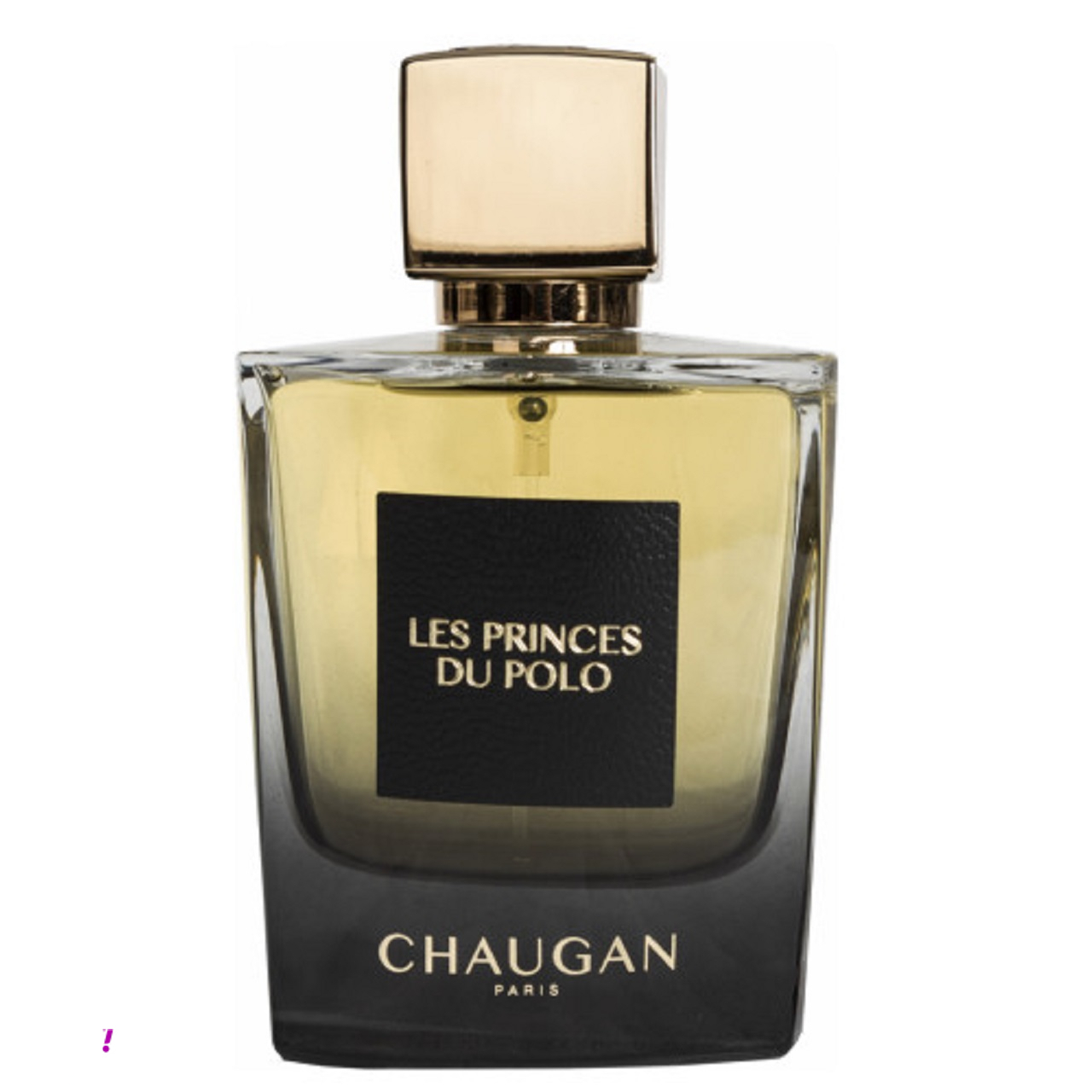 ادو پرفیوم چوگان مدل LES PRINCES DU POLO