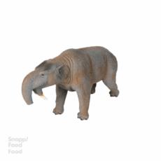 فیگور دینوتریوم موجو (Mojo) مدل پرهیستوریک اند اکستنت