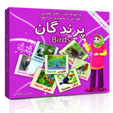 فلش کارت های علمی آموزشی و تصویری دوزبانه 2 تا 10 سال انتشارات امین آذر مجموعه 14 عددی