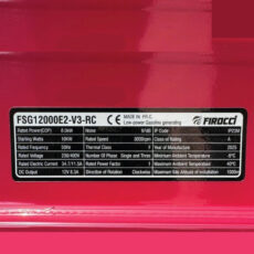 موتور برق بنزینی 10 وات فیروچی مدل FSG12000E2