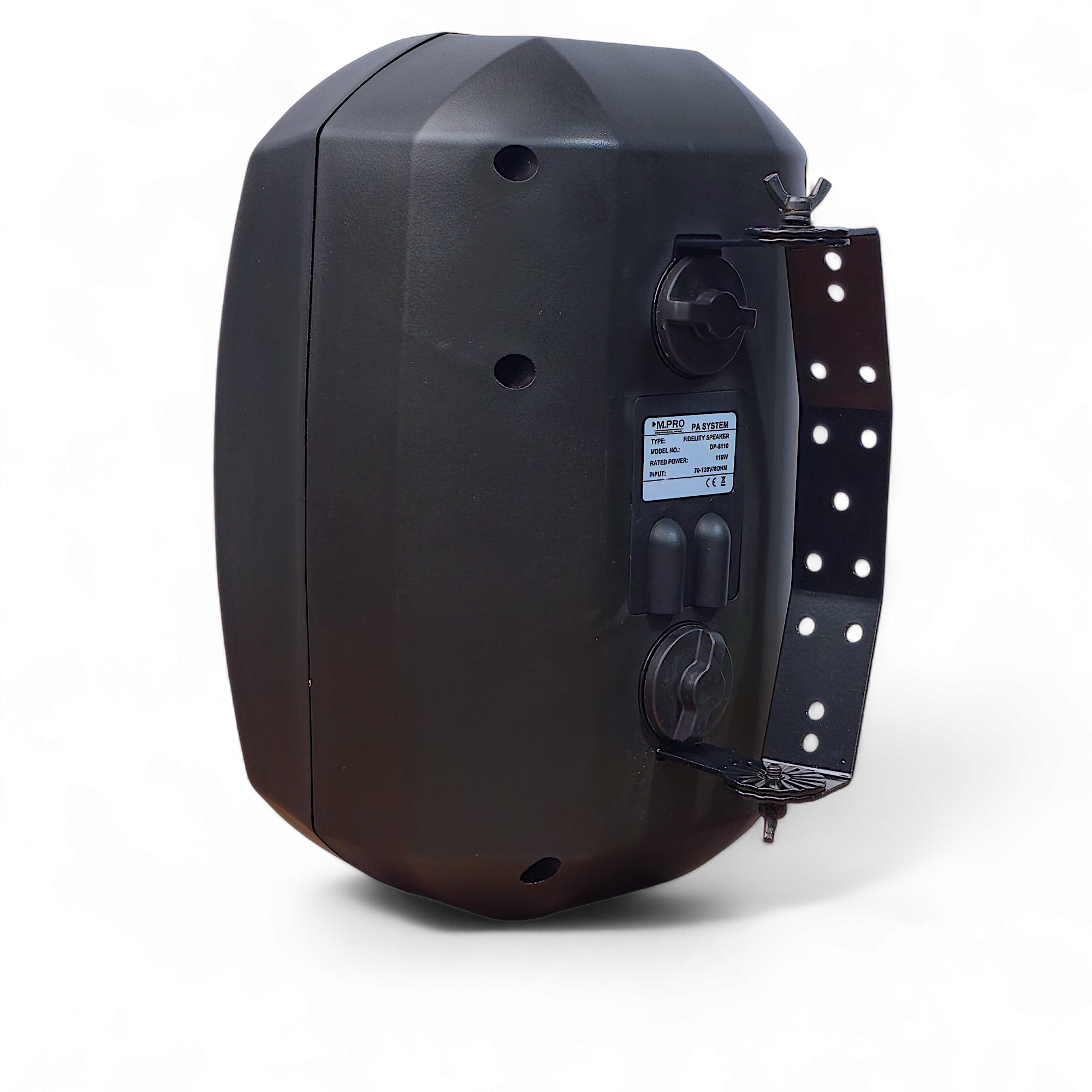 اسپیکر دکوراتیو ام پرو DP-4100