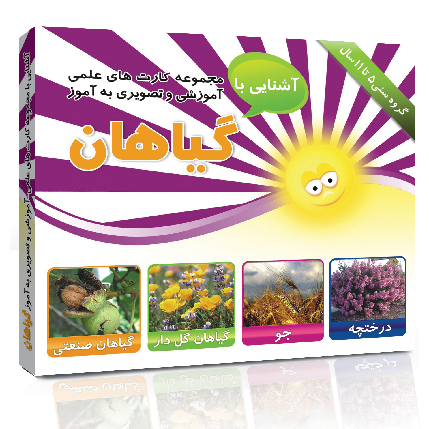 فلش کارت های آموزشی و تصویری دوره ابتدایی انتشارات امین آذر مجموعه 100 عددی