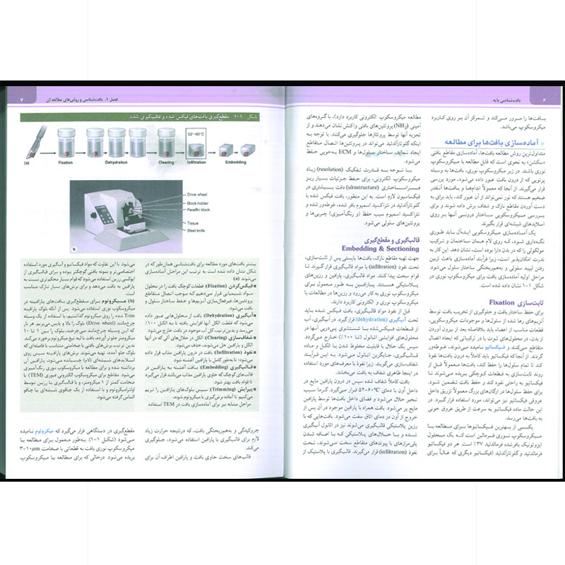 کتاب بافت شناسی پایه جان کوئیرا اثر Anthony Mescher نشر ابن سینا