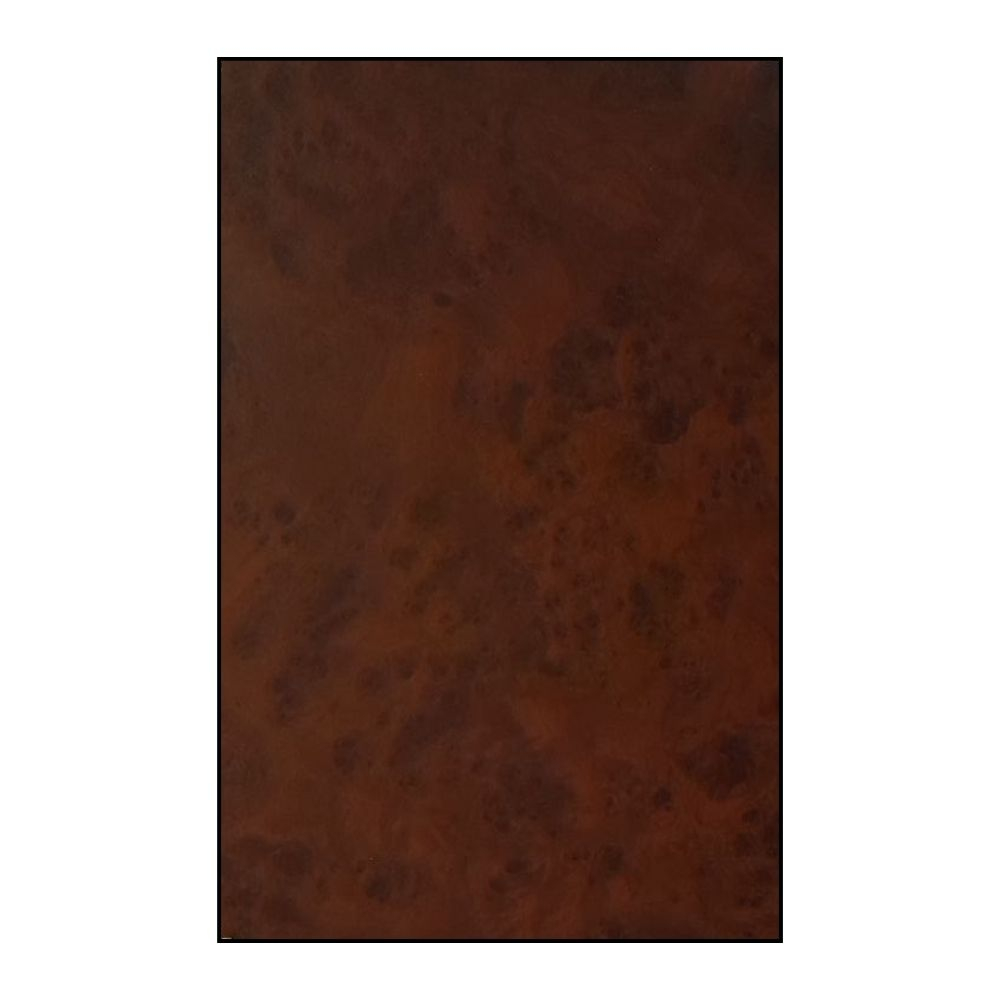 کتاب آرياييها و تمدن آريايي اثر محمد حضرتي و آبتين ساسانفر انتشارات اساطیر